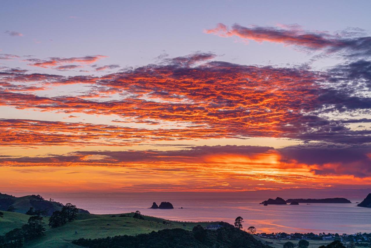 Bayview Valley Lodge Bed & Breakfast Whitianga Exterior foto